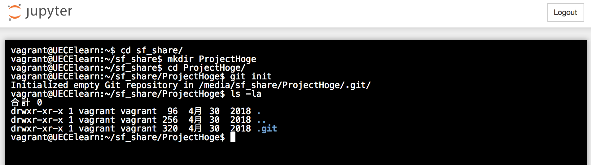 _images/gitinit.png