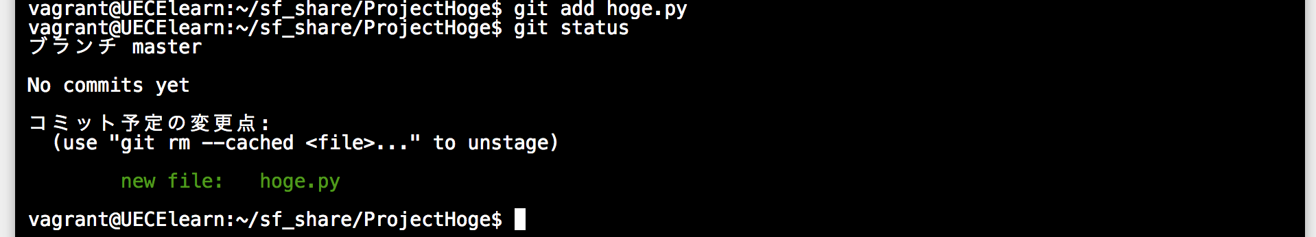 _images/gitstatus2.png